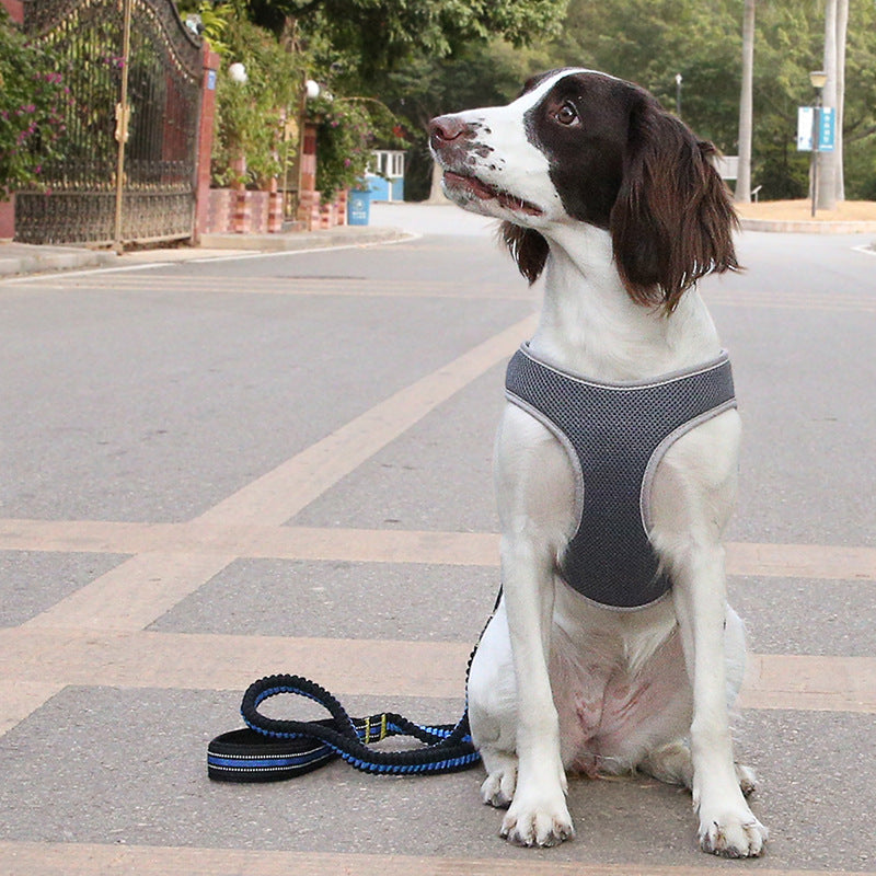Unleash Adventure with the Pet Harness Vest Leash