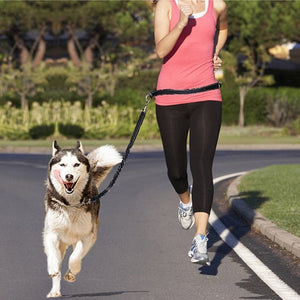 Discover the Ultimate Adjustable Pet Harness Collar Leash