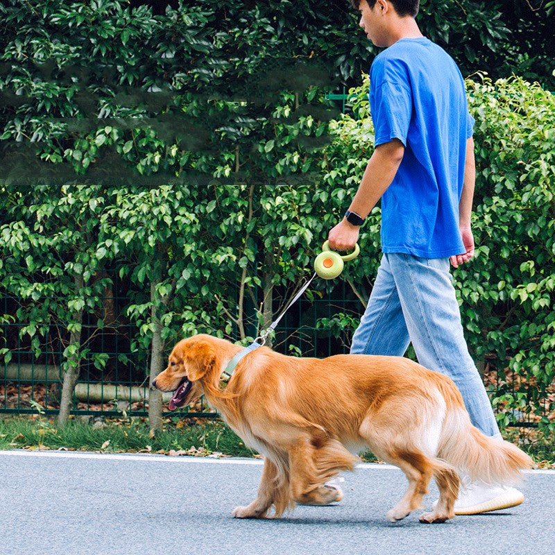 The Essential Reflective Retractable Pet Leash Rope for Every Dog Owner