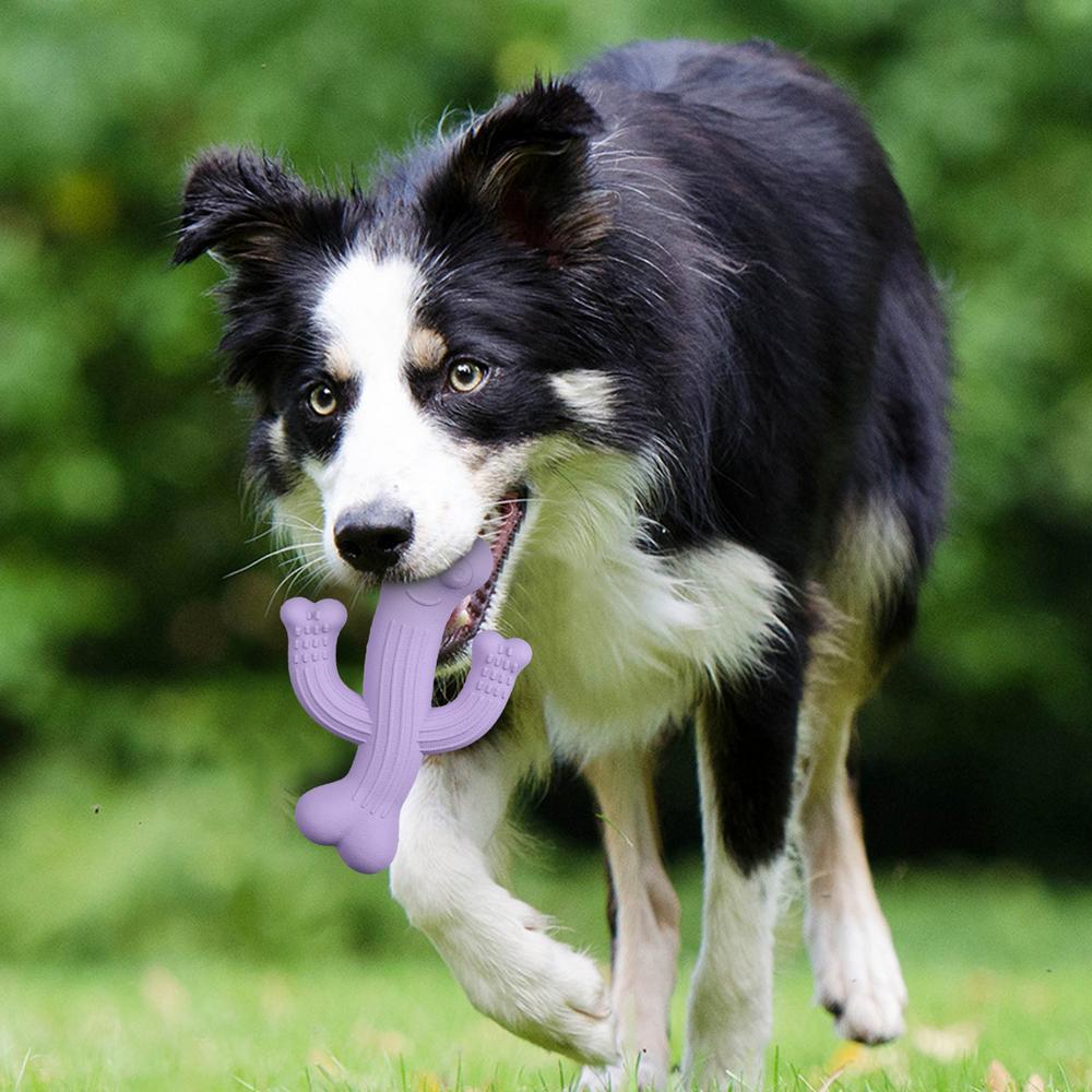 Interactive Cactus Pet Chew Toy: The Ultimate Playtime Companion for Your Furry Friends
