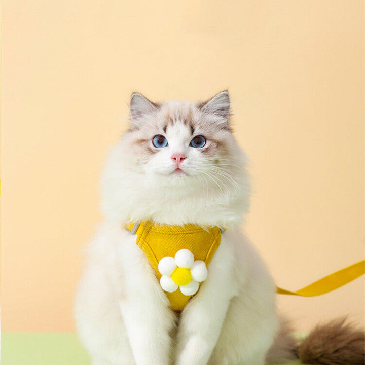 Discover the Ultimate Anti Breakaway Pet Chest Harness Leash