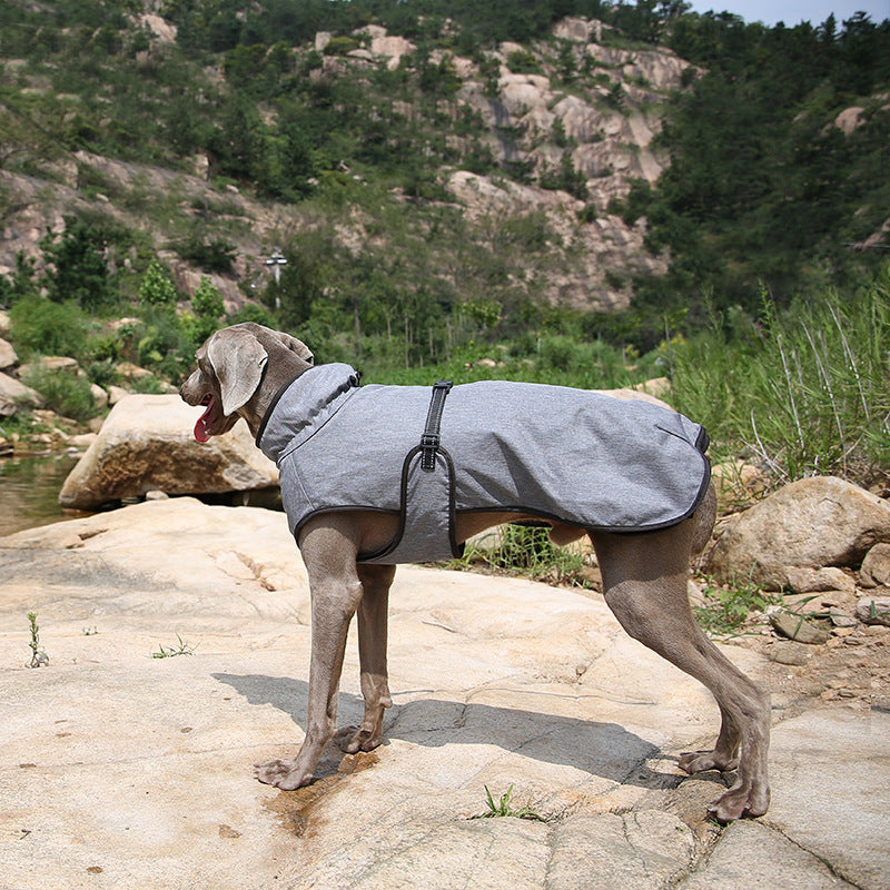 Keep Your Pet Warm with Our Stylish Winter Jacket